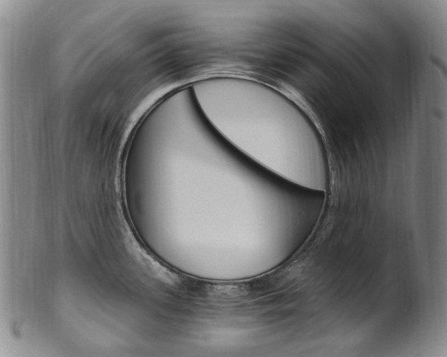 X0000101651339200807100931
