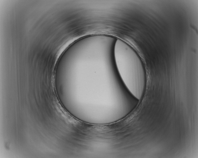 X0000101651340200807100931