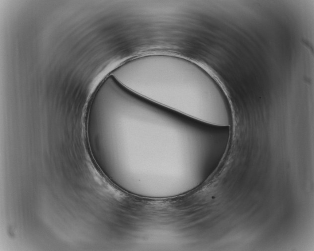 X0000101651341200807100931