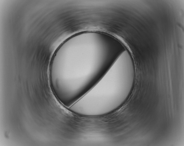 X0000101651343200807100931