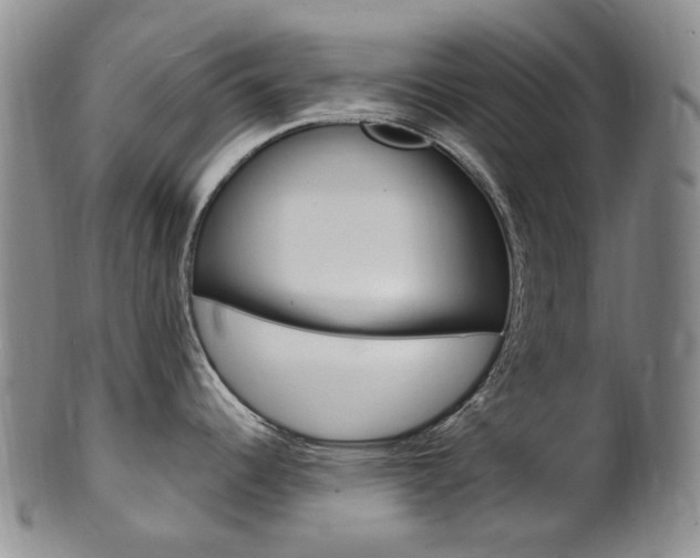 X0000101651344200807100931