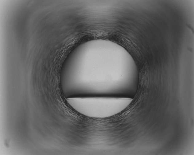 X0000101651345200807100930