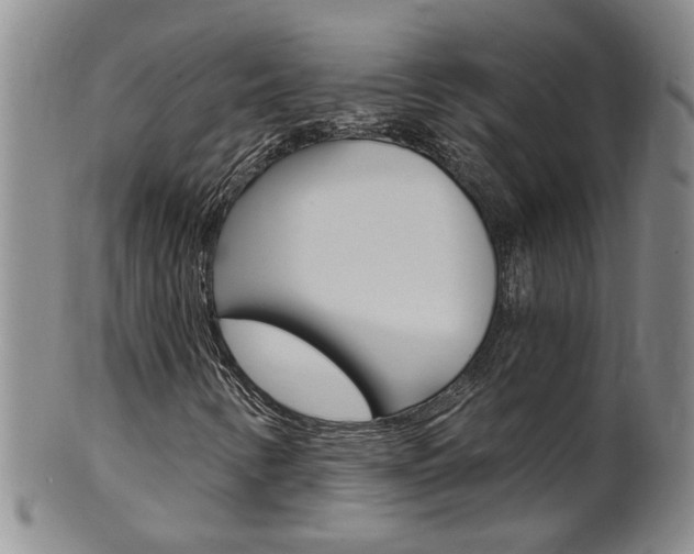 X0000101651346200807100930