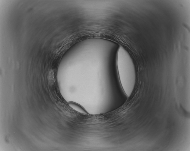 X0000101651347200807100930