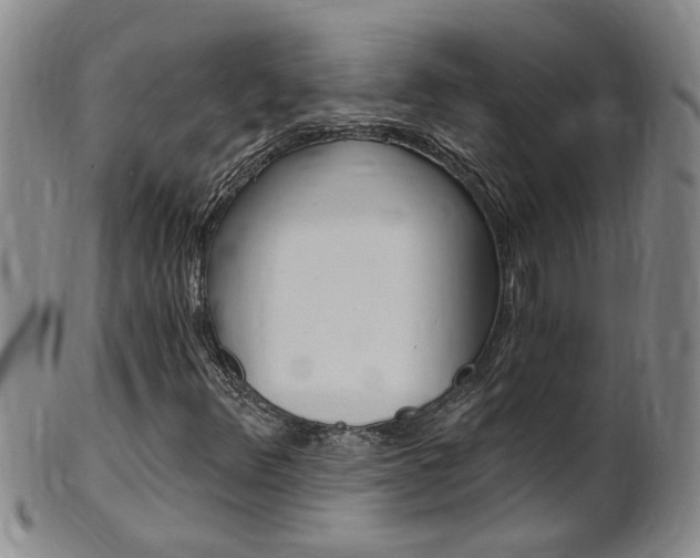 X0000101651348200807100930
