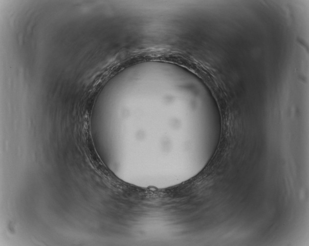 X0000101651349200807100930
