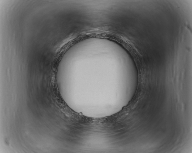 X0000101651350200807100930