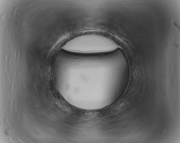 X0000101651351200807100930