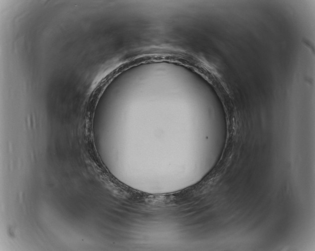 X0000101651352200807100930
