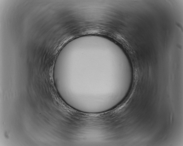 X0000101651353200807100930