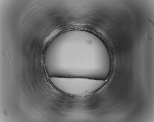 X0000101651354200807100930