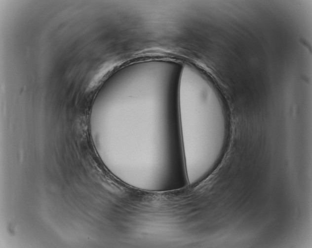 X0000101651355200807100930