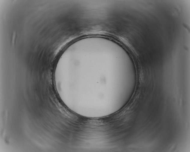 X0000101651356200807100930