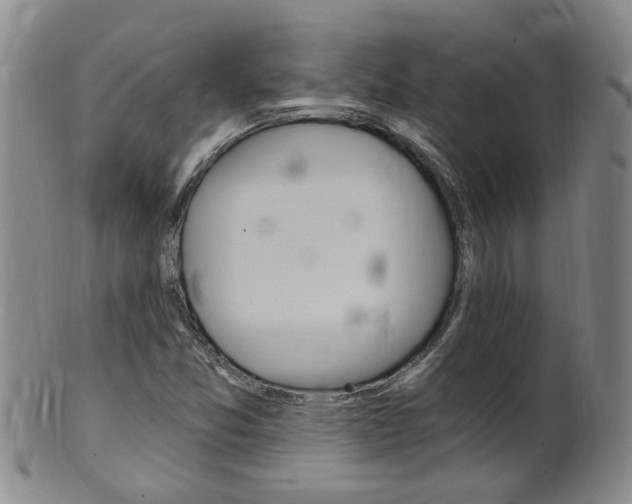 X0000101651357200807100930
