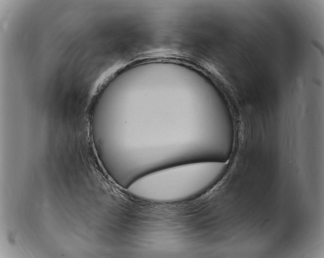 X0000101651358200807100930