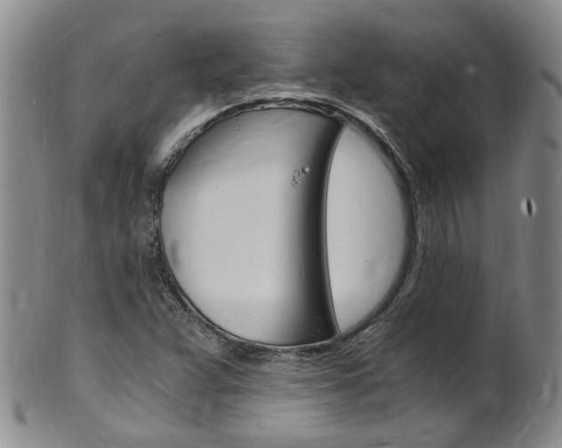 X0000101651359200807100930
