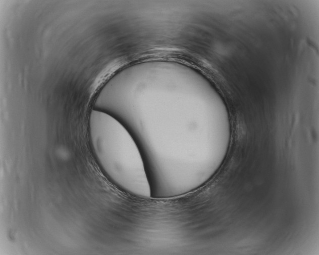 X0000101651362200807100930