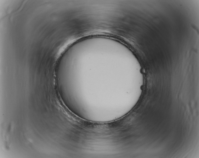 X0000101651363200807100930