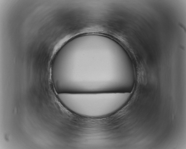 X0000101651366200807100930