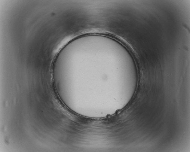 X0000101651367200807100930