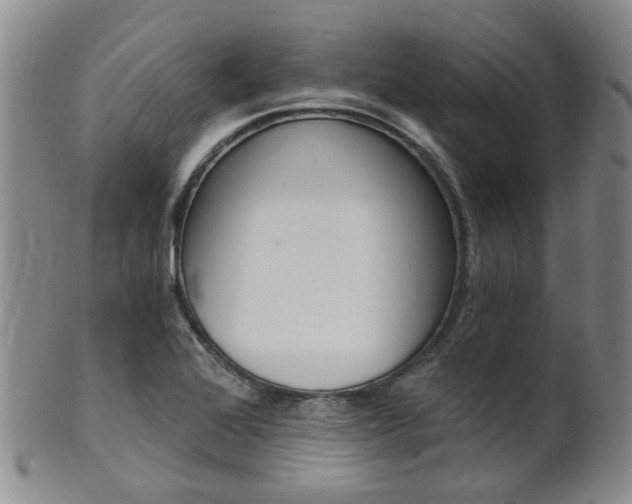 X0000101651368200807100930