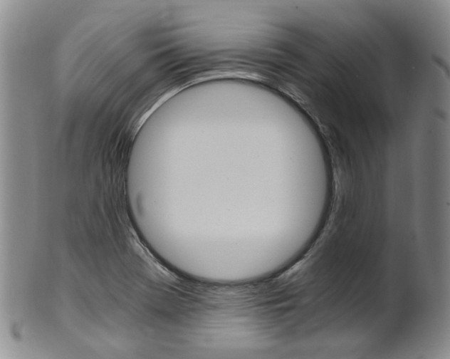 X0000101651369200807100930