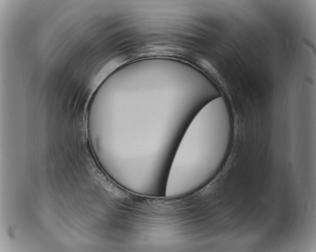 X0000101651370200807100930