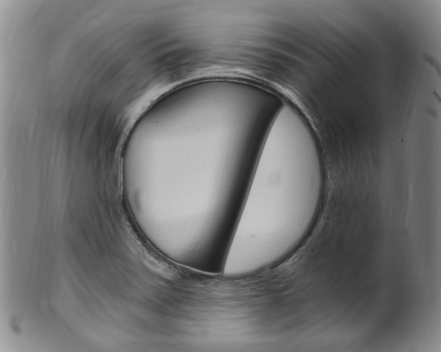 X0000101651371200807100929