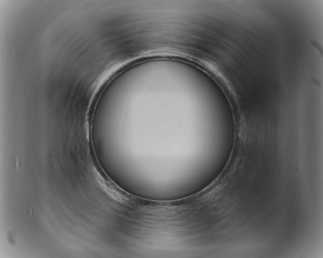 X0000101651372200807100929