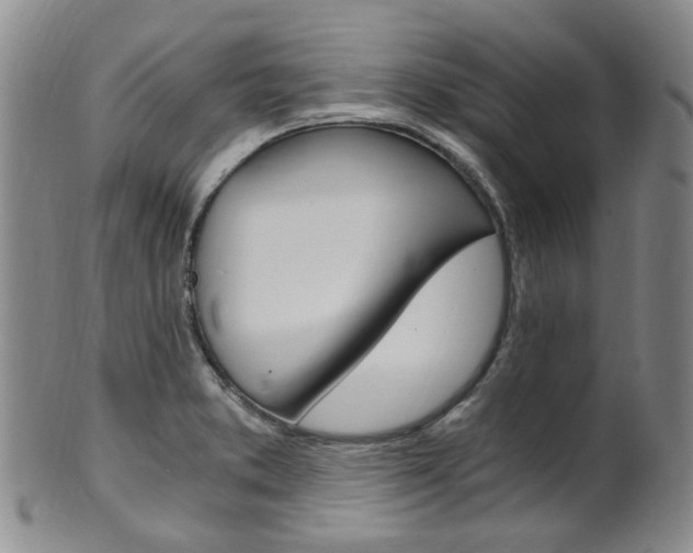 X0000101651373200807100929