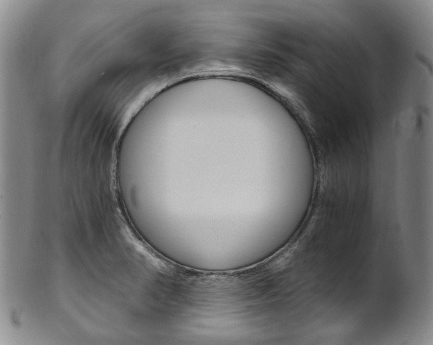 X0000101651374200807100929