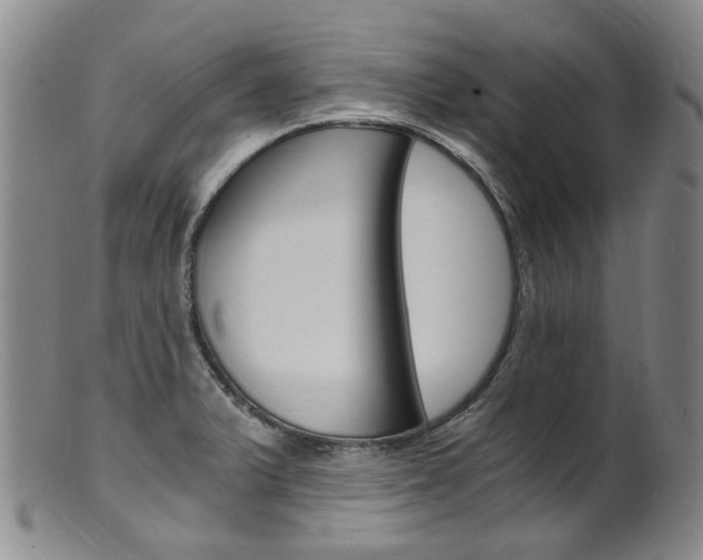 X0000101651375200807100929
