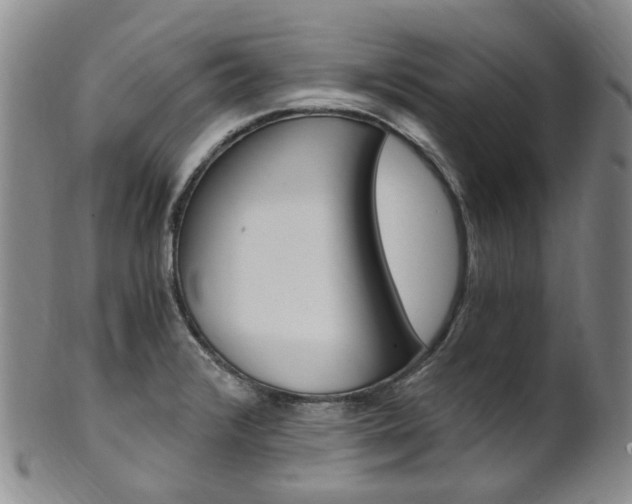 X0000101651376200807100929