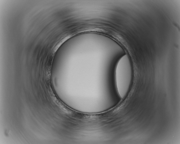 X0000101651377200807100929