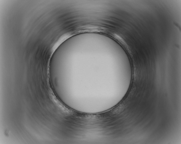 X0000101651378200807100929