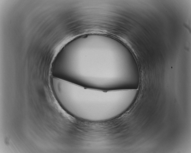 X0000101651379200807100929