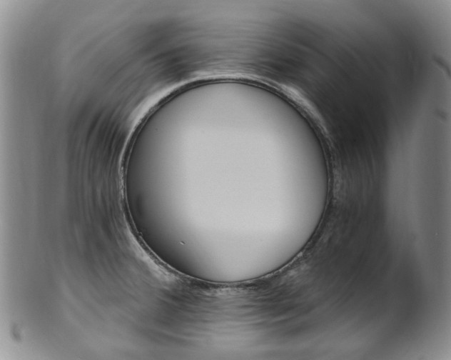 X0000101651380200807100929