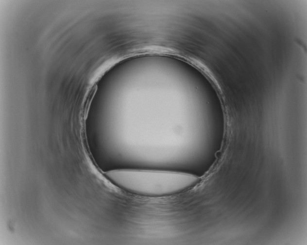 X0000101651381200807100929