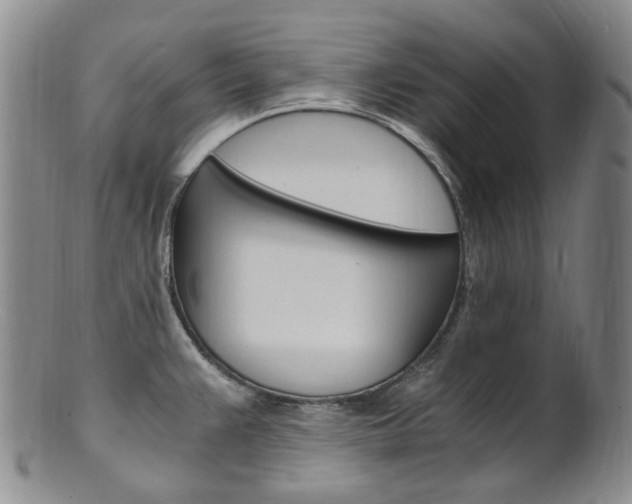 X0000101651383200807100929