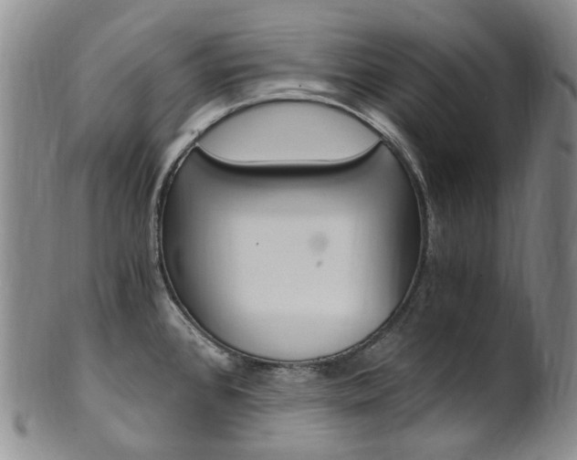 X0000101651384200807100929