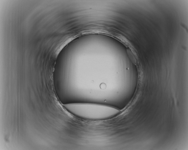 X0000101651385200807100929