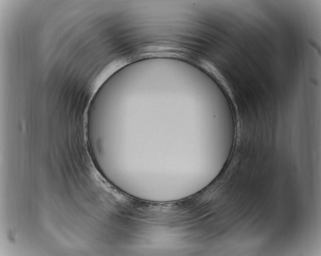 X0000101651386200807100929