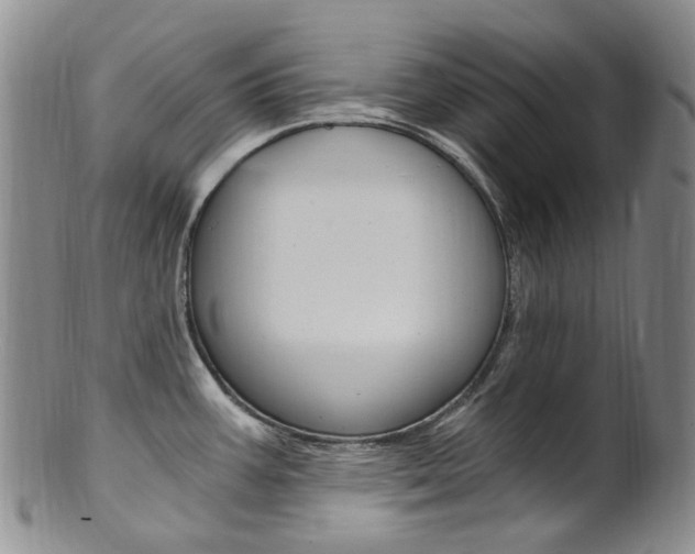 X0000101651387200807100929