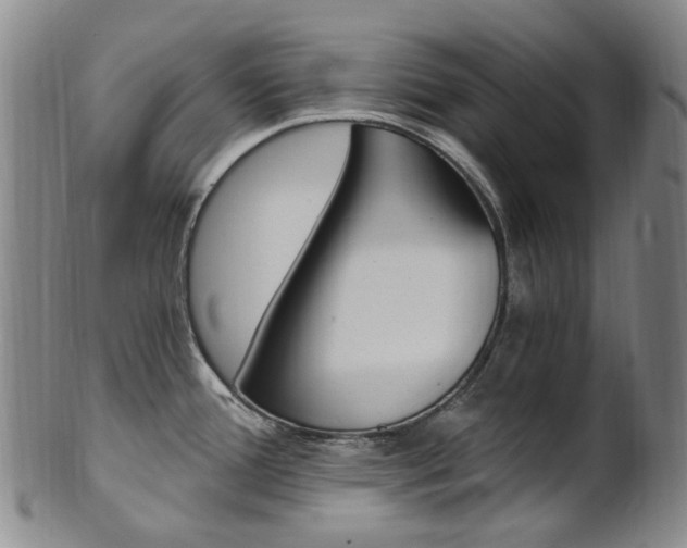 X0000101651388200807100929