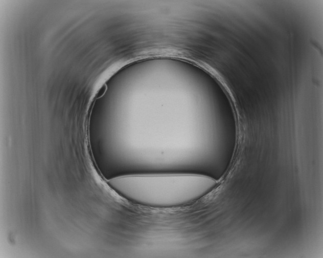 X0000101651389200807100929