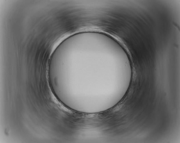 X0000101651390200807100929