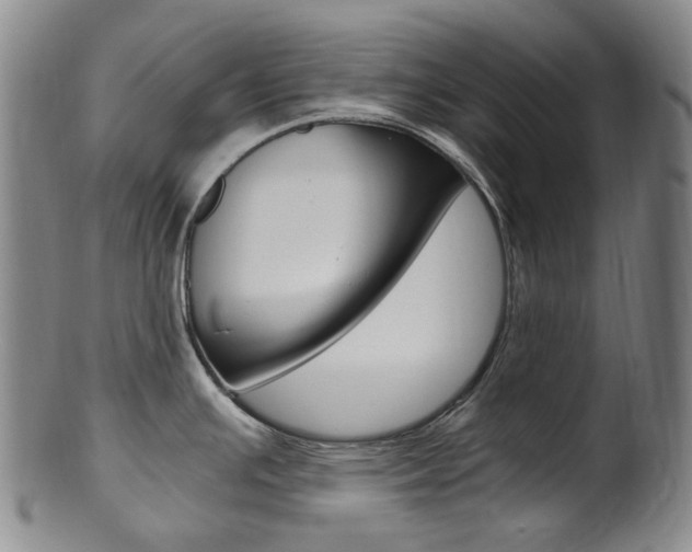 X0000101651391200807100929