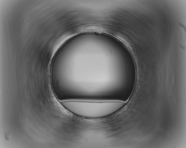 X0000101651392200807100929