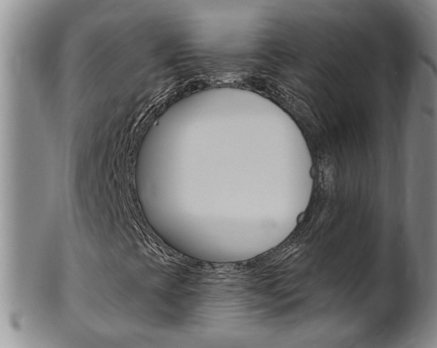 X0000101651393200807100928