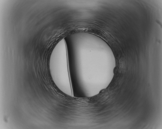 X0000101651394200807100928
